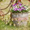 10Pcs Ladybug Garden Stake Weather-proof Heavy Duty Outdoor Patio Yard Lawn 3D Flower Mushroom Bee Spike Stick Decoration Ornament