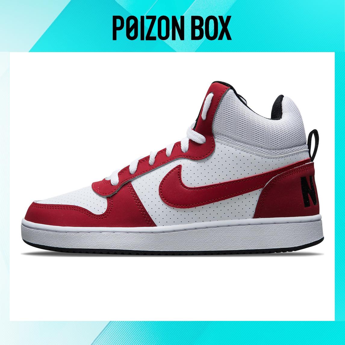 

кроссовки Male Nike Court Borough Skate shoes 838938-101