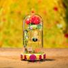 Rose Eternal Little Prince Moc Construction Blocks Animation Dream Scene Assembly Plaything Kids Splicing Model Gift Building Blocks