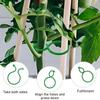 500Pcs Plastic Garden Vine Strapping Clips Tie Plant Bundled Buckle Ring Garden Tomato Grapevine Hook Plants Support Tools