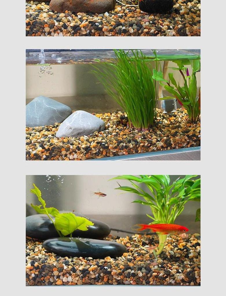 Spezieller Bachsteinsand für Aquarien und Schildkrötenbecken