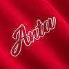 Anta Fleece Trendy Casual Sports Pullover Hoodie Unisex Hoodies Deep-Red 972618704N-6
