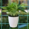 Hanging Self Watering Planter Flower Pot with Water Reservoir Wick Ropes