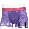 Used New Airplane Pattern Lace Boxer Size L, L, Haneda Store Limited, Also Great As a Souvenir! Isetan Men's