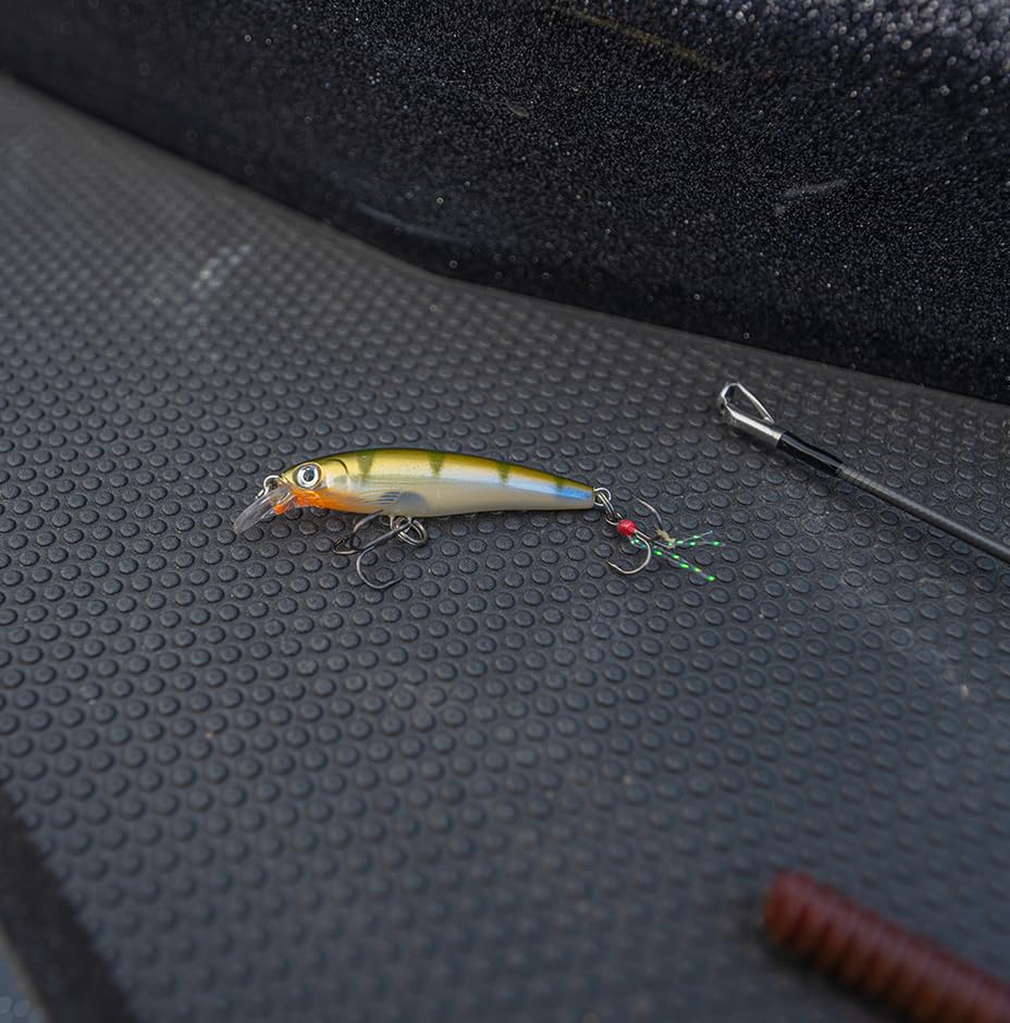 Rapala Minnow 8cm 7g Rainbow Trout RT Lure X-Rap XR8-RT