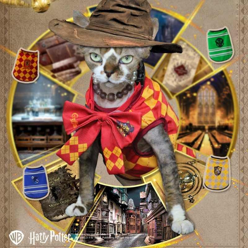 Slytherin Harry Potter Hufflepuff Ravenclaw Gryffindor Cat Bow Tie Pet Clothes