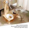 Wood Raised Cat Food Bowls Multifunctional 2 in 1 Automatic Cat Water Feeder and Food Bowl Set with Stand for Dog Pets