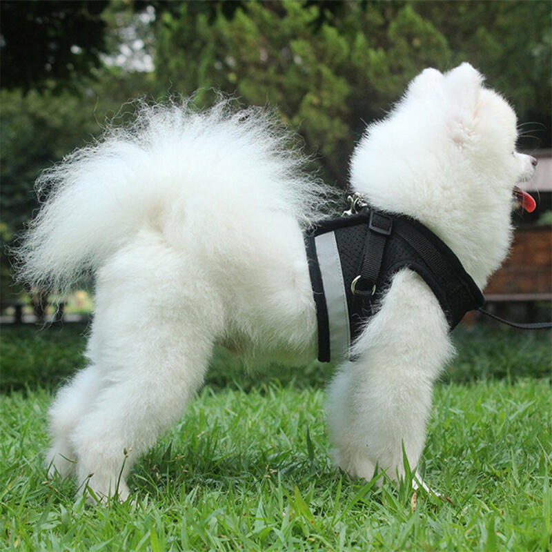 Safe Reflective Dog Harness + Leash Set (M/Black)