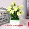 Plastic Sasanqua Camellia Botanical Potted Plant For Gift And Decor Interior