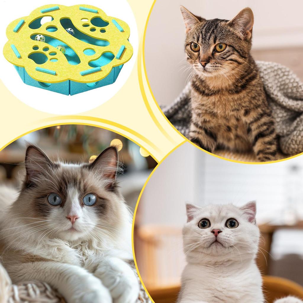 Interactive Puzzle Toys for Cats with Scratching Board, Mental Stimulation Toy for Indoor Kittens and Small Breeds