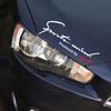 Sports Mind Universal Side 8 4 Sizes Small Car/Motorcycle Sticker/Decal, Dress-Up Sticker, Colors, (White Silver, 19x7cm)