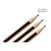 12 Pcs Mechanical Pencils, 2.0mm 2B Lead, Refillable, Erasable, Unbreakable, Eternal Metal, Wood-like Design, with Eraser, Cute, for Boys & Girls,