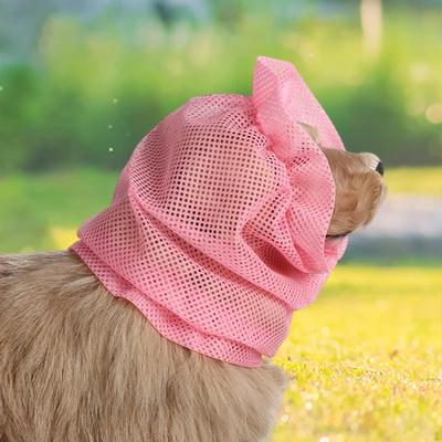 Giyim ve ayakkabı – Köpek Aksesuarları