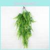 Pteridium Plant Latiusculum For Wedding And Outdoor Decorate Events