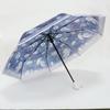 Dual-Use Automatic Transparent POE Umbrella - Xiaohongshu Style with Cats and Dogs Design