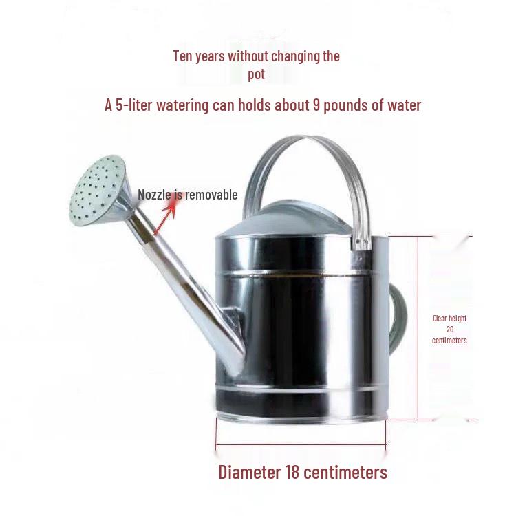 Tin Watering Can: Large Capacity for Vegetables & Flowers, with Spray Nozzle