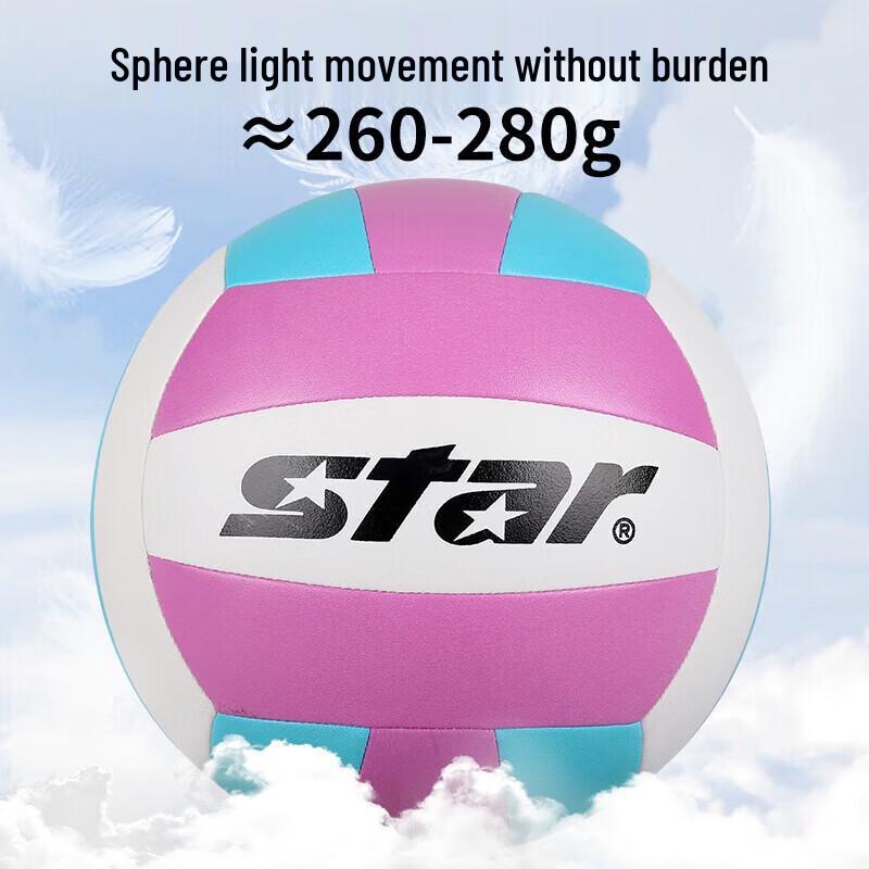 Star Size 5 Training Volleyball