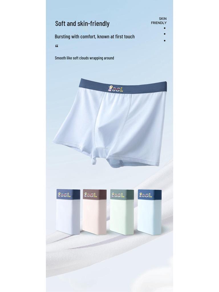 Boys' Teen Boxer Briefs for Junior High Students