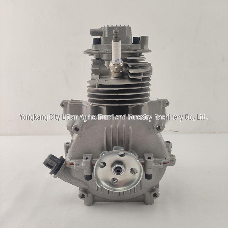 139F Four-Stroke Engine Assembly: Crankcase, Cylinder, Piston Ring, Crankshaft, Valve - Lawnmower Power Accessories