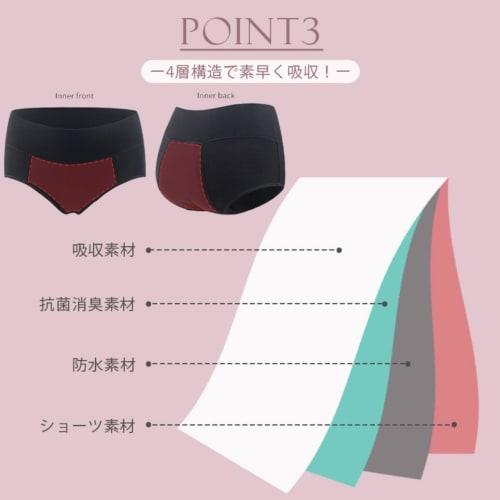 CORELAVISH Absorbent Sanitary Panties, Large Capacity, 4-Layer Construction, Period Briefs for Women, Relieves Vaginal Discharge and Urinary Incontine