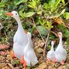 Creative Desktop Soft Furnishings for Gardening Lovers Double Duck Figurine, Resin Micro Landscape Ornaments, Waterproof Miniature Animal Small