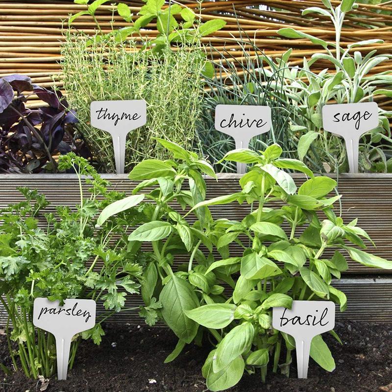 50/100Pcs Plant Labels Garden Plant Tags Set Plastic Plant Markers T-Type Seed Markers Plant Label for Potted Plant Flower Seed