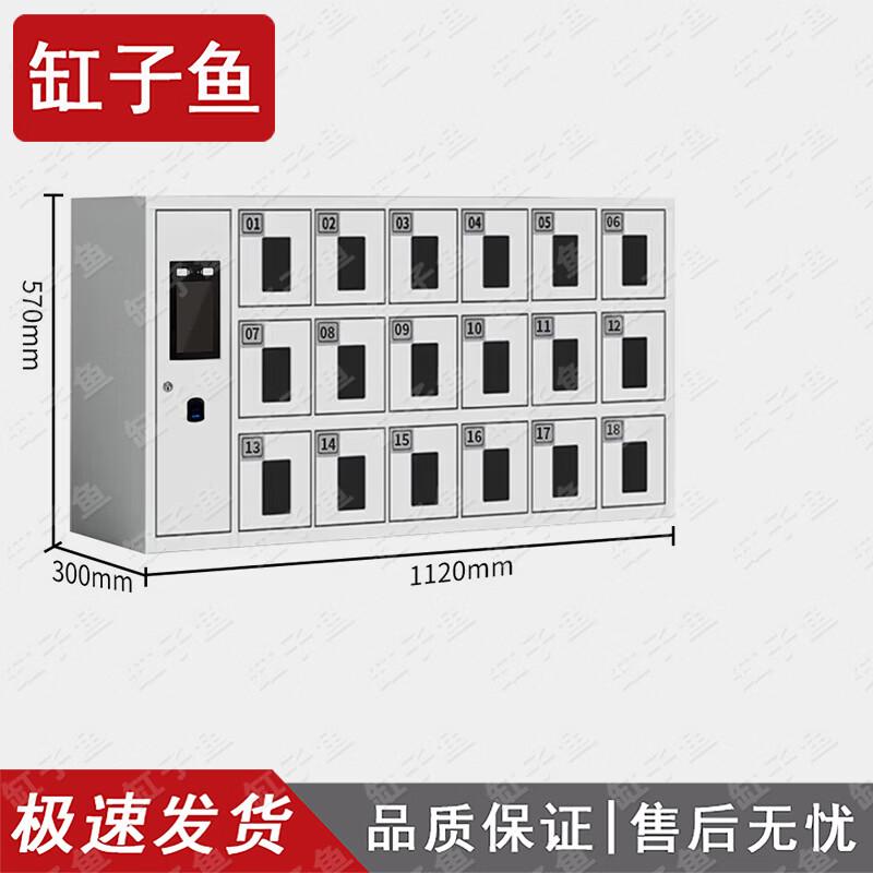 Smart Phone Biometric Security Cabinet