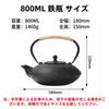 Qoexio Iron Teapot, Nambu Ironware, IH Compatible, Teapot with Tea Strainer, Iron Supplementation, Suitable for Direct Flame, Traditional Craft, Gift