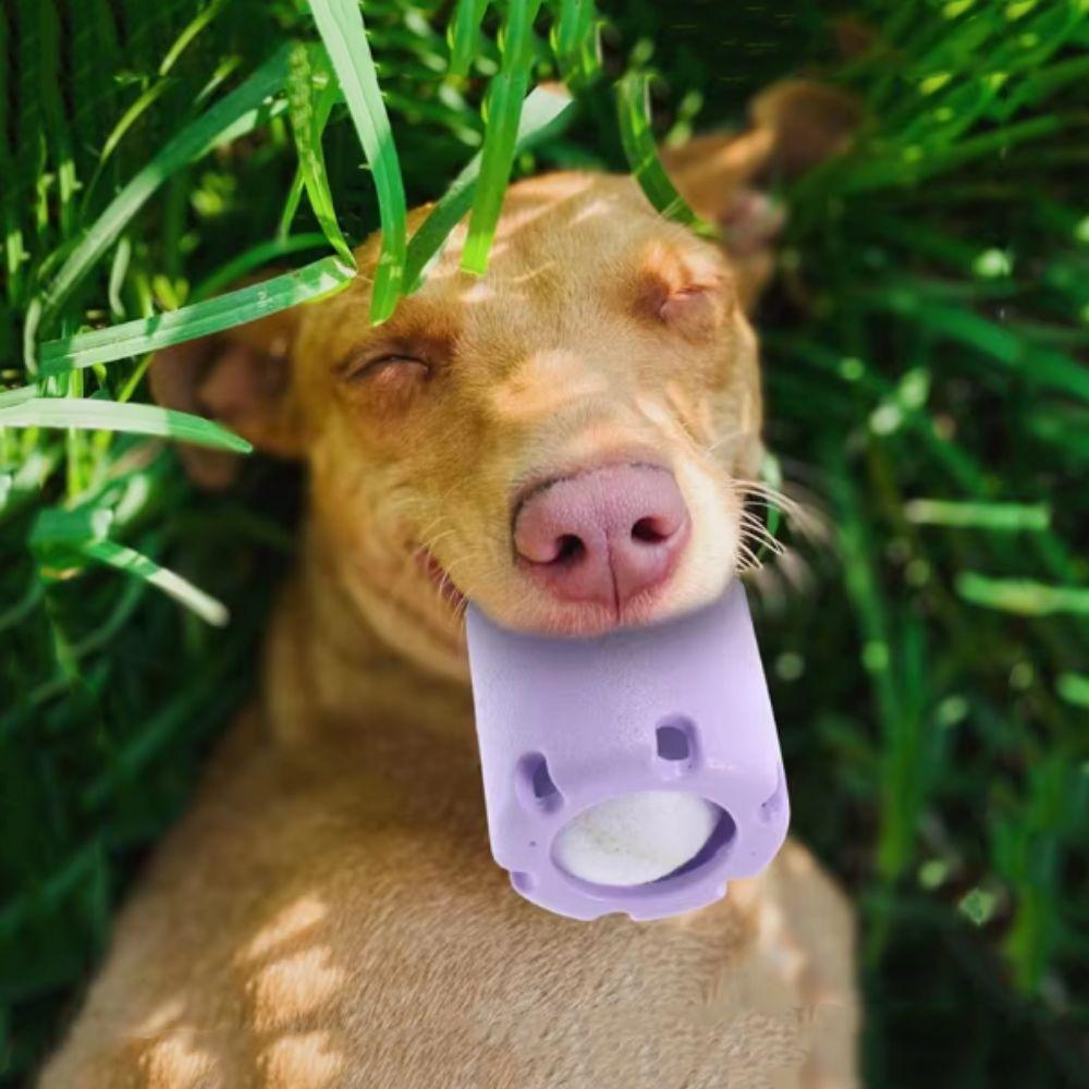 

Bite Resistant Puppy Tennis Cup Toy Interactive Dog Training Biting Ball for Dogs Puppy червоний
