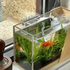 Fish Tank Tool Organizer Aquarium Tweezers Organizer Rack Acrylic Water Plants Grass Maintenance Tool Holder Aquarium Rack