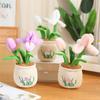 Bloemen Groene Plant Pluche Speelgoed Gevuld Potplant Paardenbloem Lelie Iris Tulp Anthurium Orchidee Aardbei Huisdecoratie Cadeau