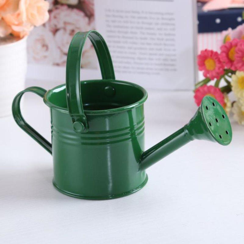 1Pc Mini Sprinkler Home Garden Indoor Vintage Flower Metal Watering Iron Pott