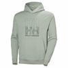 Helly Hansen Core Graphic Hoodie