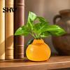 Einzigartiges Tischornament, Orangenförmige Vase, Dekorativer Hydrokultur Kreativer Blumenbehälter, Kleiner Hydrokultur Pothos Behälter Topf für Wohnzimmer