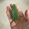 50pc Artificial Plants, Artificial Pine Needles, Christmas Trees, Small Pine Needle Trees, Christmas Rings, Christmas Handicrafts, Decorative PE Trees