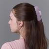 Acetate Classic Hair Clip Narbon (4 Colors)