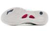 Li Ning Badfive 2 Low Cushioning Slip Resistant Abrasion Resistant Coverage Support Low top Basketball Shoes Men's ABFR005-10
