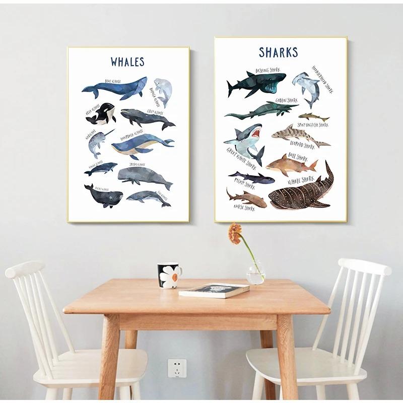 Child Poster Whale Shark Marine Animal Nursery Canvas Art Print Education Wall Picture Painting Nordic Baby Kids Room Decoration