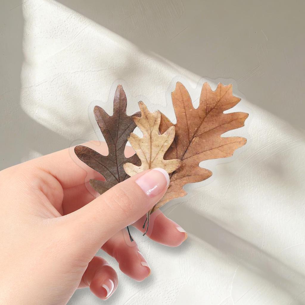 50PCS Dried Plant Transparent Stickers: Retro Floral and Leaf Designs for Teacups, Notebooks, and Envelopes.