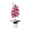 Butterfly Orchid Artificial Plant With Plastic And Soft Gel For Home Decor And Event Centerpiece