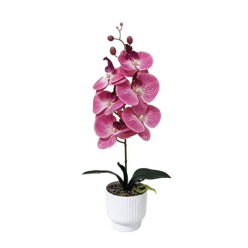 Butterfly Orchid Artificial Plant With Plastic And Soft Gel For Home Decor And Event Centerpiece