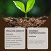 Organic  And Plant Fertilizer For Raised Garden Beds, Potting Mixes And Seedling Compost, Compaction And Promotes Plant