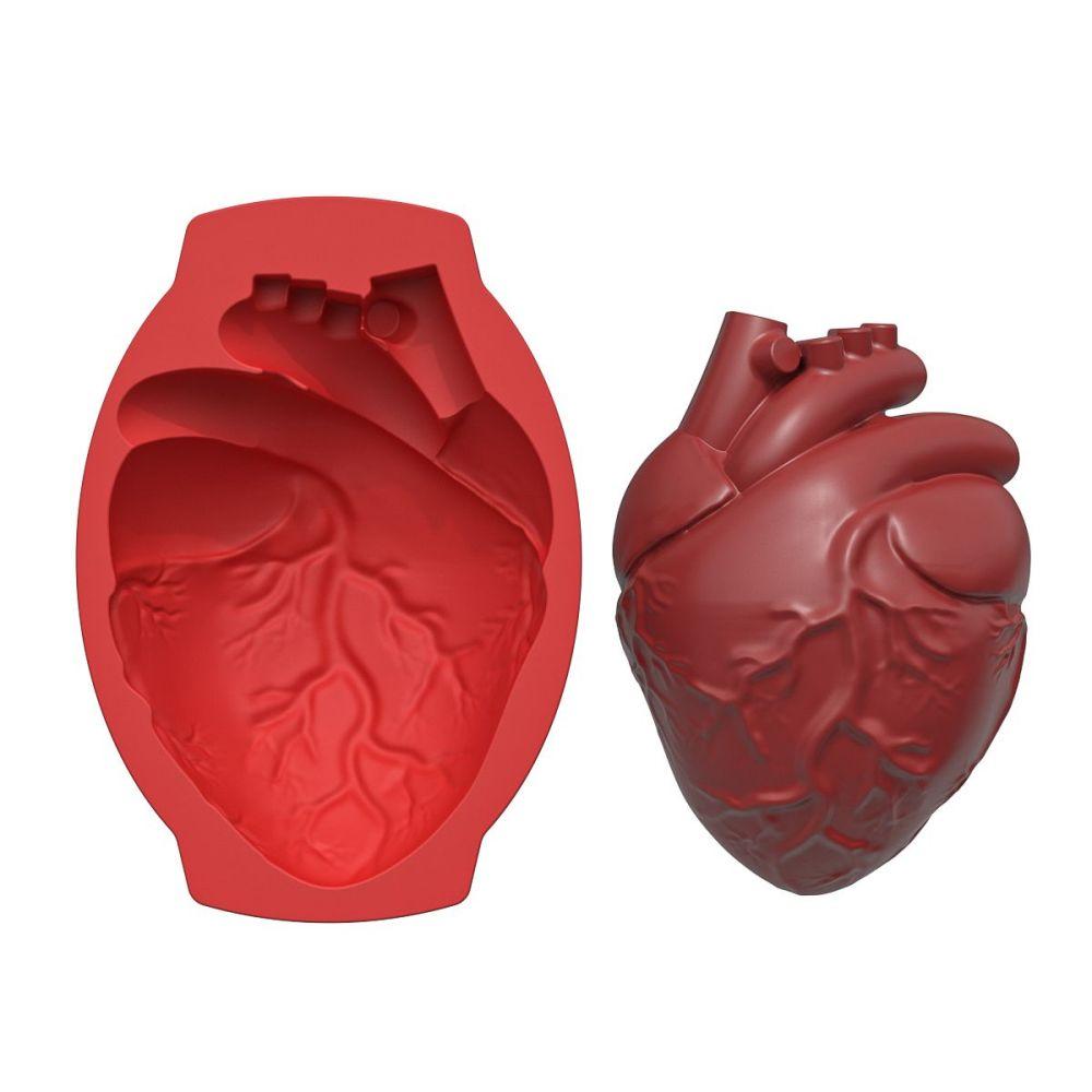 Silicone Heart Mold Human Brain Cake Mold Large Volume with Support Base Thicken Organs Mould Halloween Candy Chocolate Pudding