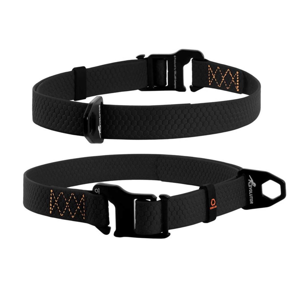 Collare EVOLUTOR, misura universale regolabile IL COLLARE DUREVOLE (larghezza 25 mm, lunghezza 25-70 cm)