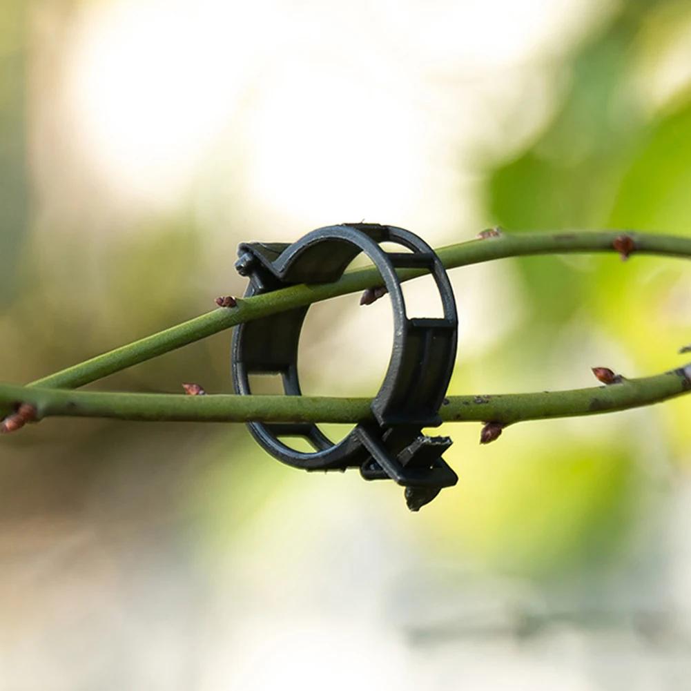 100PCS Plastic Plant Support Clips Reusable Plant Vine Connects Fixing Tool Vegetable Tomato Grafting Protect Garden Supplies