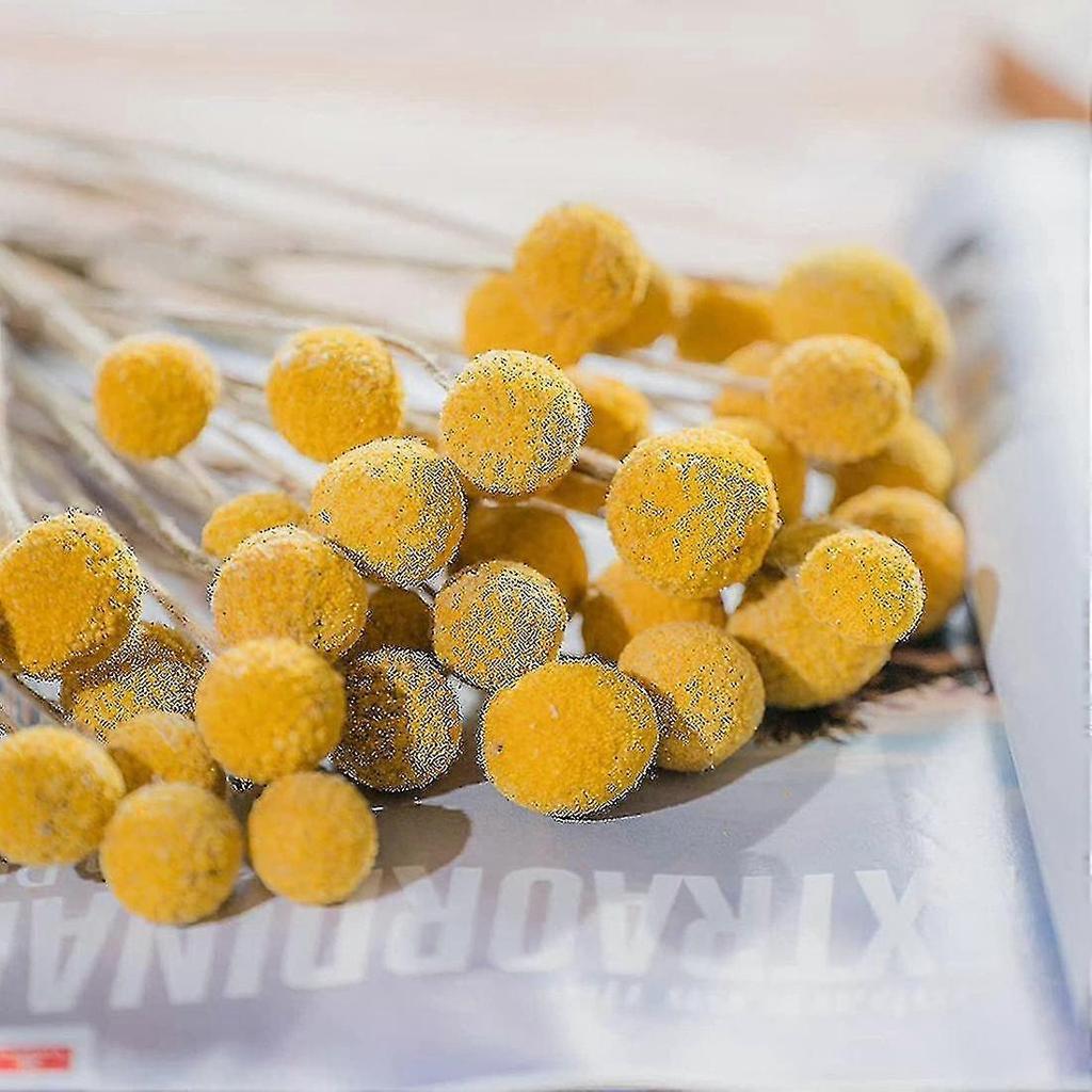 40pcs Dried Craspedia Flowers Dried Billy Button Balls Flowers,dried Flower Bouquet For Arrangement-fast Delivery (best)