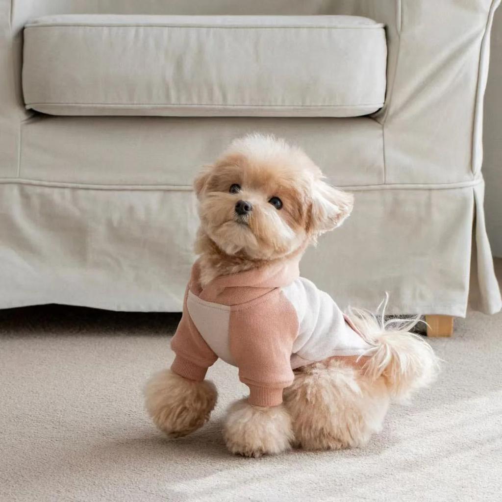 Pet Autumn/Winter Hoodie Warm Splicing T-shirt Teddy Yorkshire Small Dog Autumn/Winter Hoodie Puppy Clothes for Small Dogs
