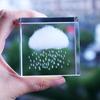 Rainy Cloud Crystal Desk Ornament: Mood-Boosting Gift for Girls