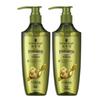 Schwarzkopf Ginger Essence Oil Control Shampoo Twin Pack