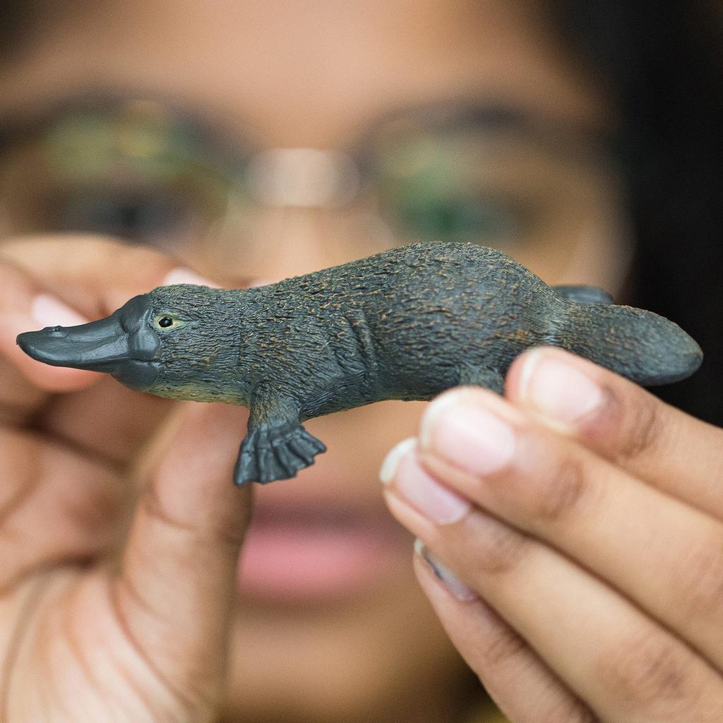 Schleich Wildlife Platypus Figure 14840